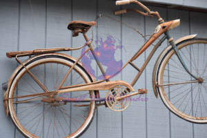 antique bike photography Columbia, MO